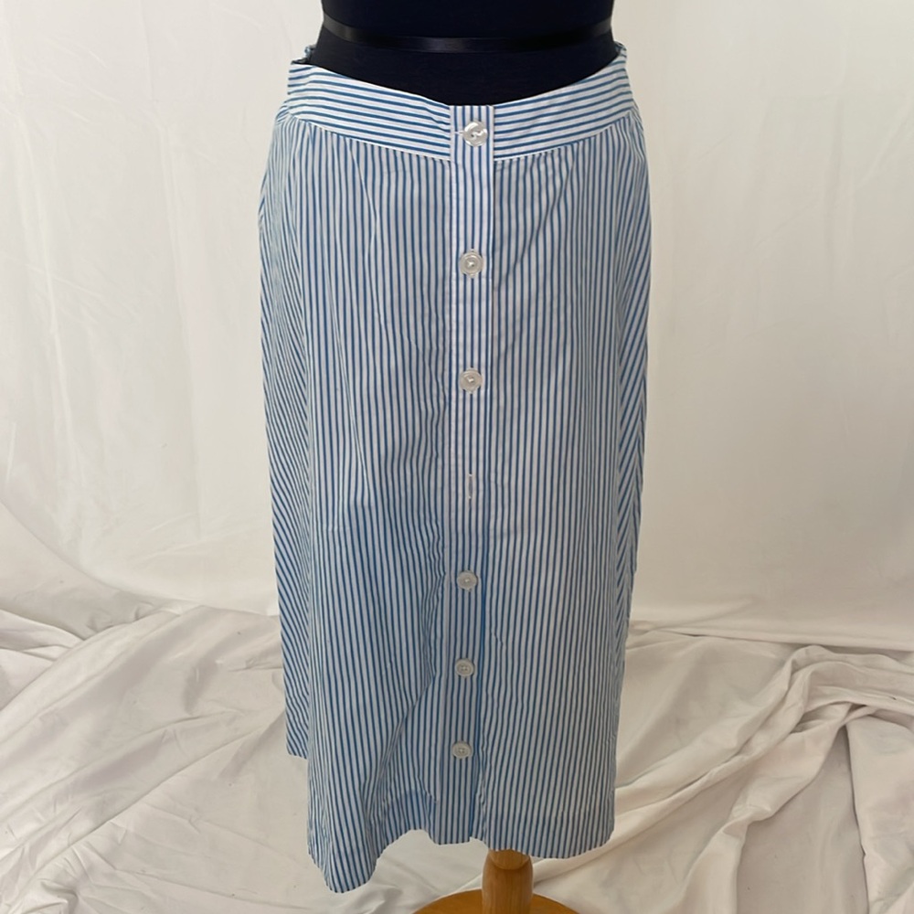 Blue Striped Button-Down Skirt - Picture 5 of 5